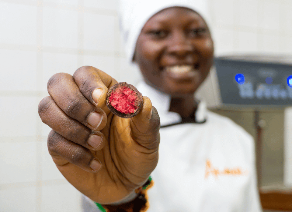 Gesund, lecker und vielseitig: 6 Vorteile gefriergetrockneter Himbeere Gesund, lecker und vielseitig: 6 Vorteile gefriergetrockneter Himbeere